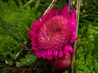 Pink and Green Flowers #3 12-15-2016.jpg