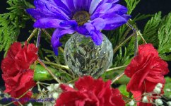 Blue and Red Flowers #2 12-15-2016.jpg
