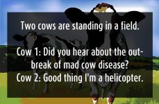 creative-jokes-19.jpg