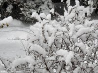 DSCN1562.jpg