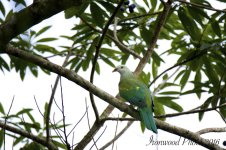 DSC_2717.jpg
