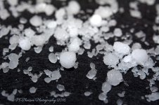 Hail #2 12-16-2016.jpg