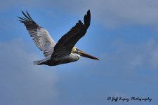DSC_2053.jpg