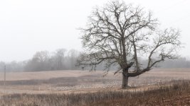 _DSC6104--Edit.jpg