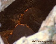 Into the Cave 12-18-2016.jpg