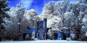 2016 Squire Castle IR ReDo    1sm.jpg