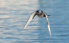 DSC_6443.jpg