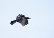 DSC_7128.jpg