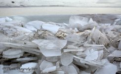 Ice on the Great Salt Lake 12-19-2016.jpg