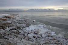 Ice on the Great Salt Lake #2 12-19-2016.jpg