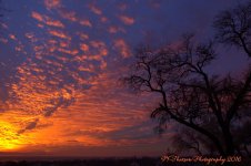 Sunset #2 12-20-2016.jpg