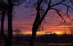 Sunset #3 12-201-2016.jpg