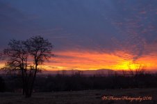 Sunset #4 12-20-2016.jpg