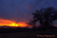Sunset #5 12-20-2016.jpg