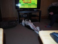 PC030004.jpg