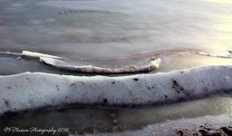 Frozen Wave on the Causeway #3 12-21-2016.jpg