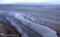 Frozen Wave on the Causeway #4 12-21-2016.jpg