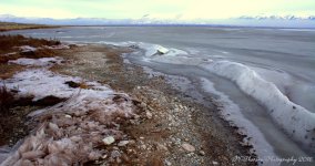 Frozen Wave on the Causeway #5 12-21-2016.jpg
