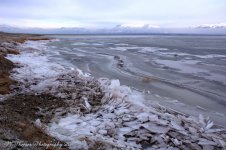 Frozen Wave on the Causeway #6 12-21-2016.jpg