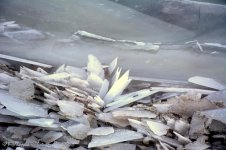 Frozen Wave on the Causeway #7 12-21-2016.jpg