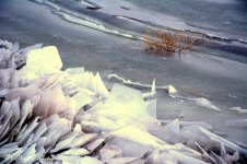Frozen Wave on the Causeway #8 12-21-2016.jpg
