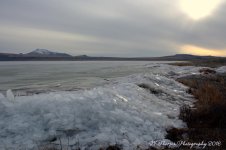 Frozen Wave on the Causeway #13 12-21-2016.jpg