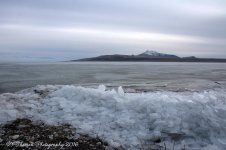 Frozen Wave on the Causeway #14 12-21-2016.jpg