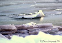Frozen Wave on the Causeway #18 12-21-2016.jpg