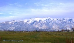 Canada Geese in the Rocky Mountains  #1 12-22-2016.jpg