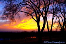 Sunset 12-22-2016.jpg
