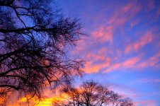 Sunset #3 12-22-2016.jpg