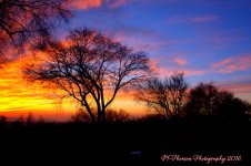 Sunset #4 12-22-2016.jpg