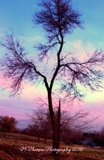 Sunset #6 12-22-2016.jpg