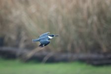 _DSC6302-Edit.jpg