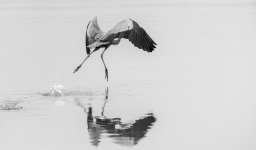 _DSC6374-Edit.jpg