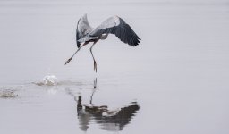 _DSC6374-Edit-2.jpg