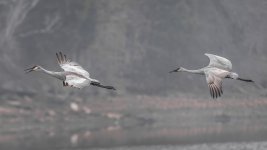 _DSC6358-Edit.jpg