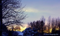 Christmas Scene 12-25-2016.jpg