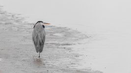 _DSC6367-Edit.jpg