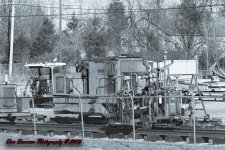 Afternoon-0072.jpg