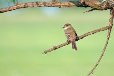 DSC_6940_edited.jpg