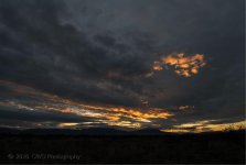 12-29-16-cr_DSC_4413.jpg
