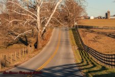 Coming Home-0100.jpg