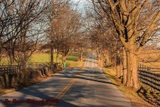 Coming Home-0105.jpg