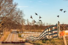 Coming Home-0115.jpg