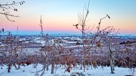 1-DSC_6902-HDR.jpg