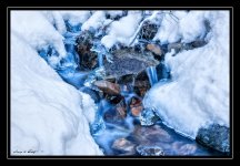 W_DSC_9064.jpg