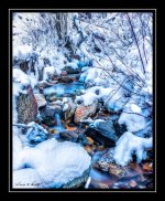 W_DSC_9077.jpg