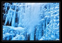 W_DSC_8950.jpg