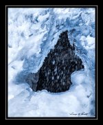 W_DSC_9011.jpg
